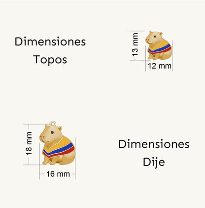 Set Capibara Colombia