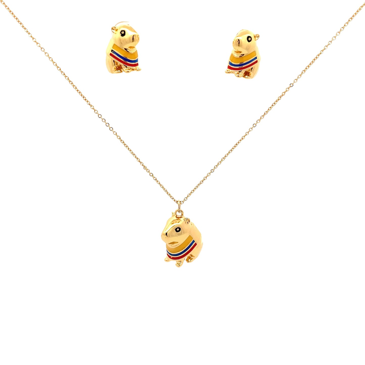 Set Capibara Colombia