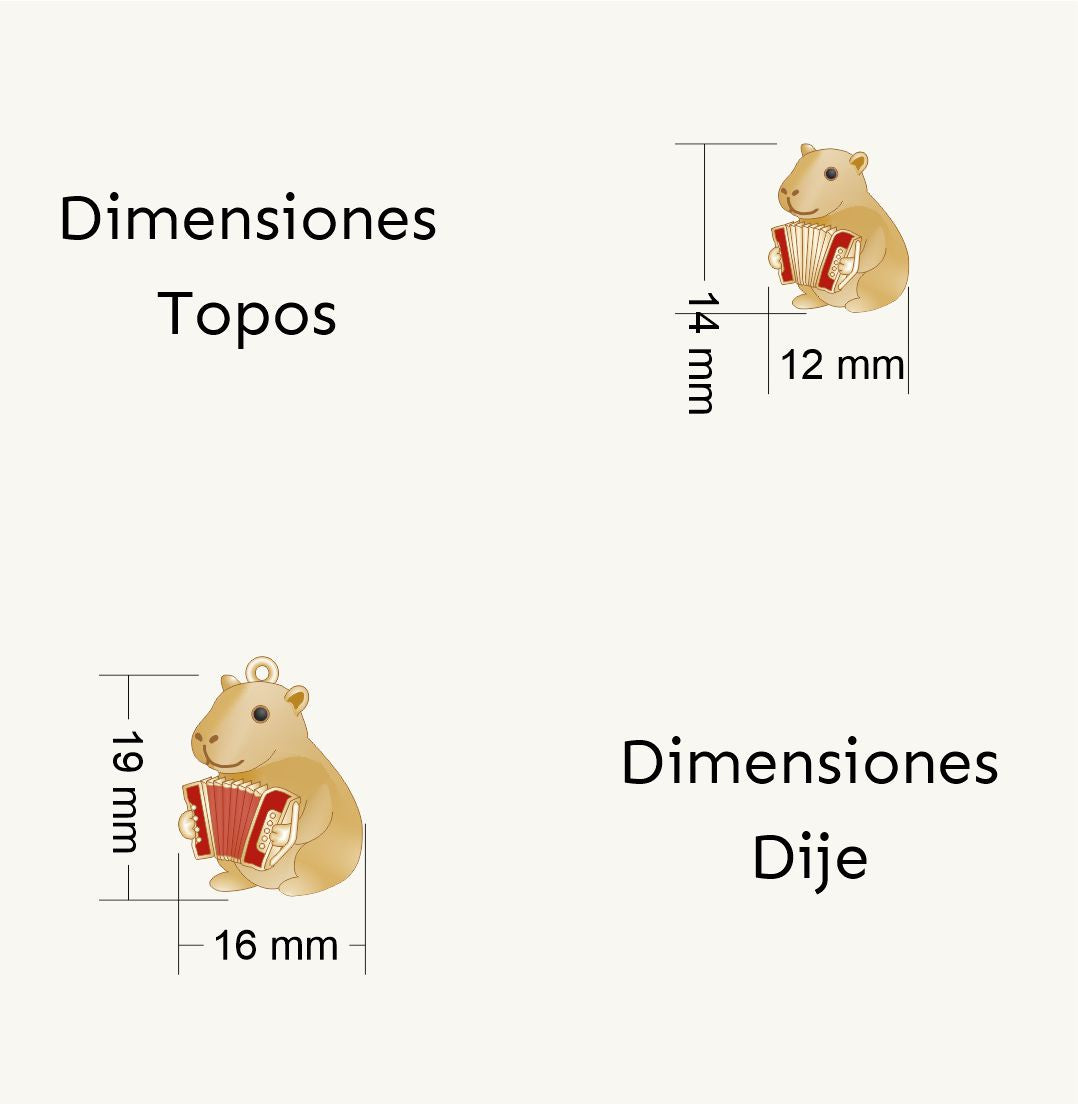 Set Capibara Vallenato