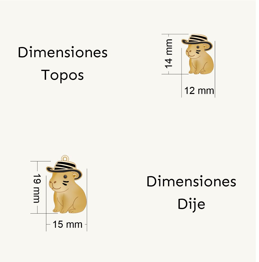 Set Capibara Sombrero Vueltiao