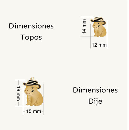 Set Capibara Sombrero Vueltiao