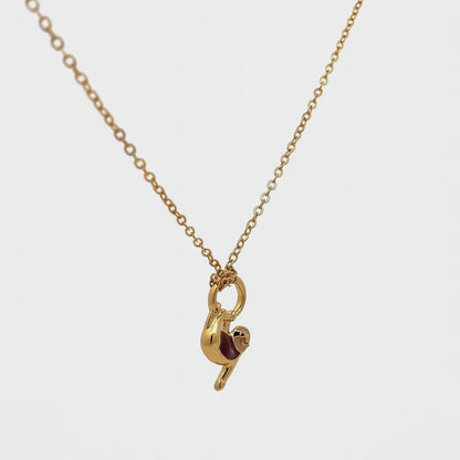 Collar Oso Perezoso