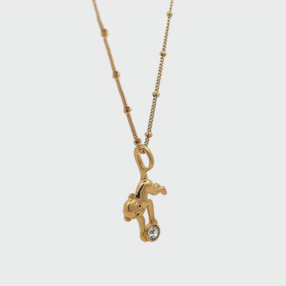 Collar Mono Araña
